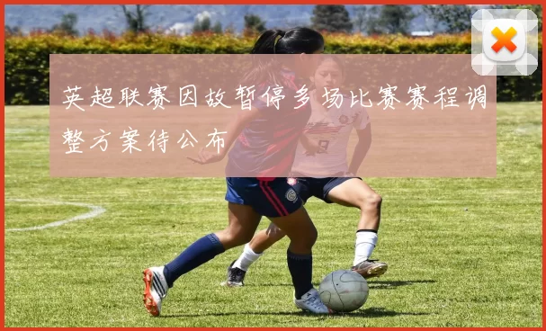 英超联赛因故暂停多场比赛赛程调整方案待公布