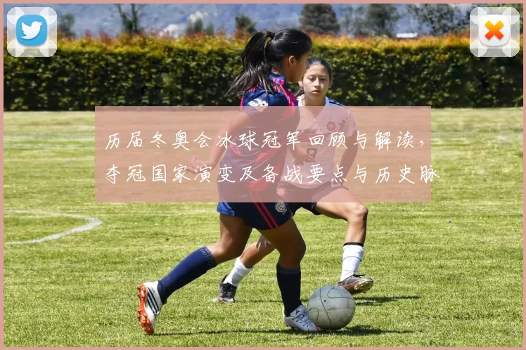 历届冬奥会冰球冠军回顾与解读，夺冠国家演变及备战要点与历史脉络