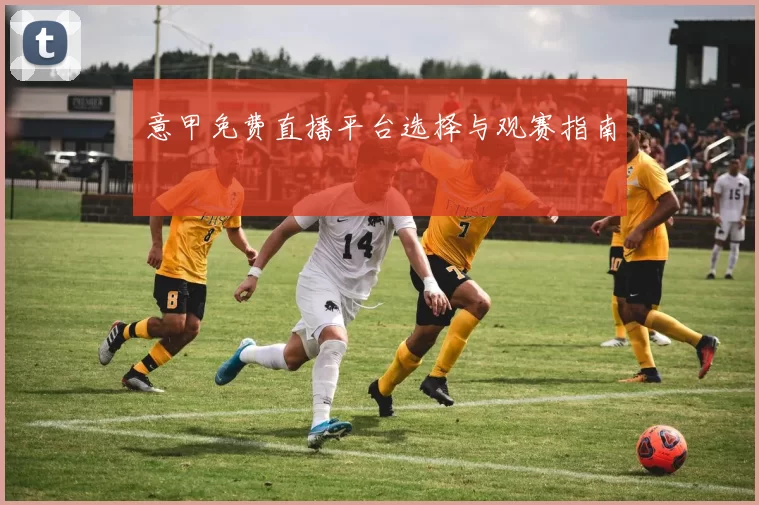 意甲免费直播平台选择与观赛指南