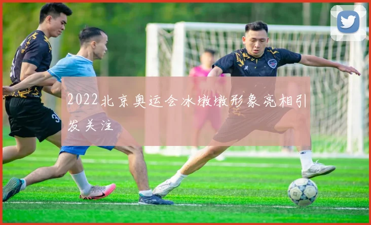 2022北京奥运会冰墩墩形象亮相引发关注